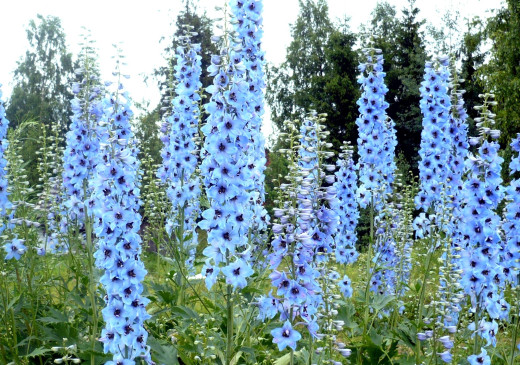 532361 (a): :2040x1430